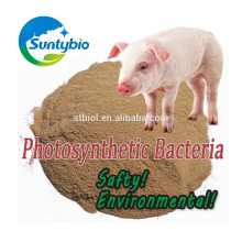 Ernährungsprobiotika für Rinder, Schafe, Schweine, Hühner, Fische und Garnelen verwenden Photosynthetic Bacteria